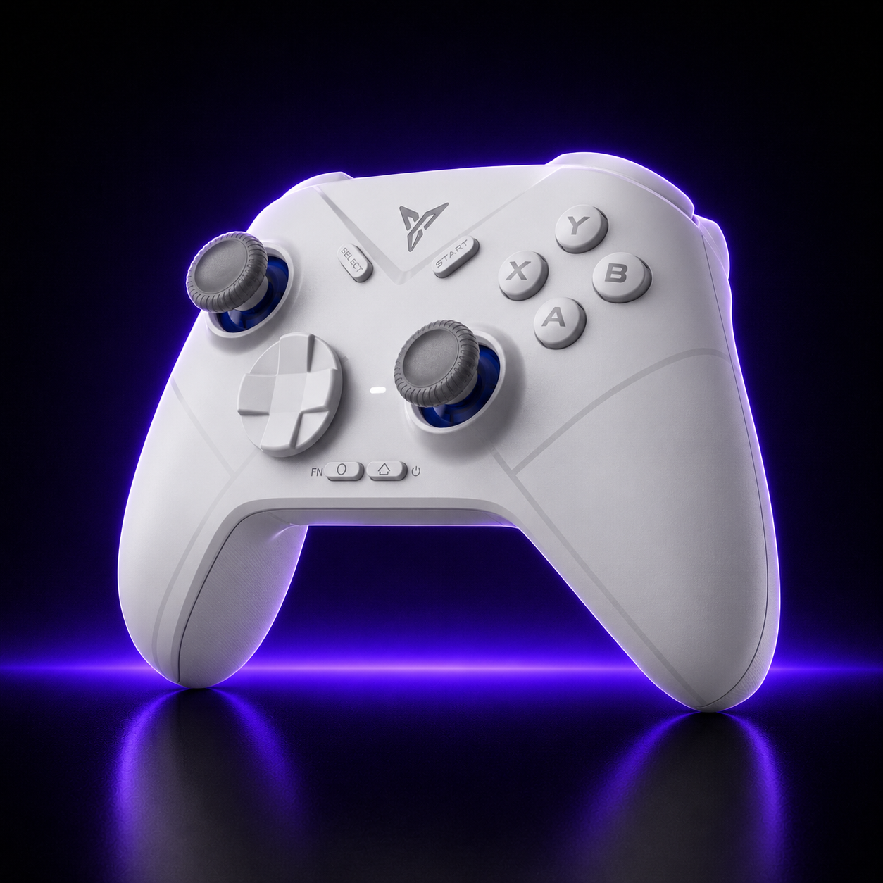 FLYDIGI Direwolf 3 Wireless Gaming Controller