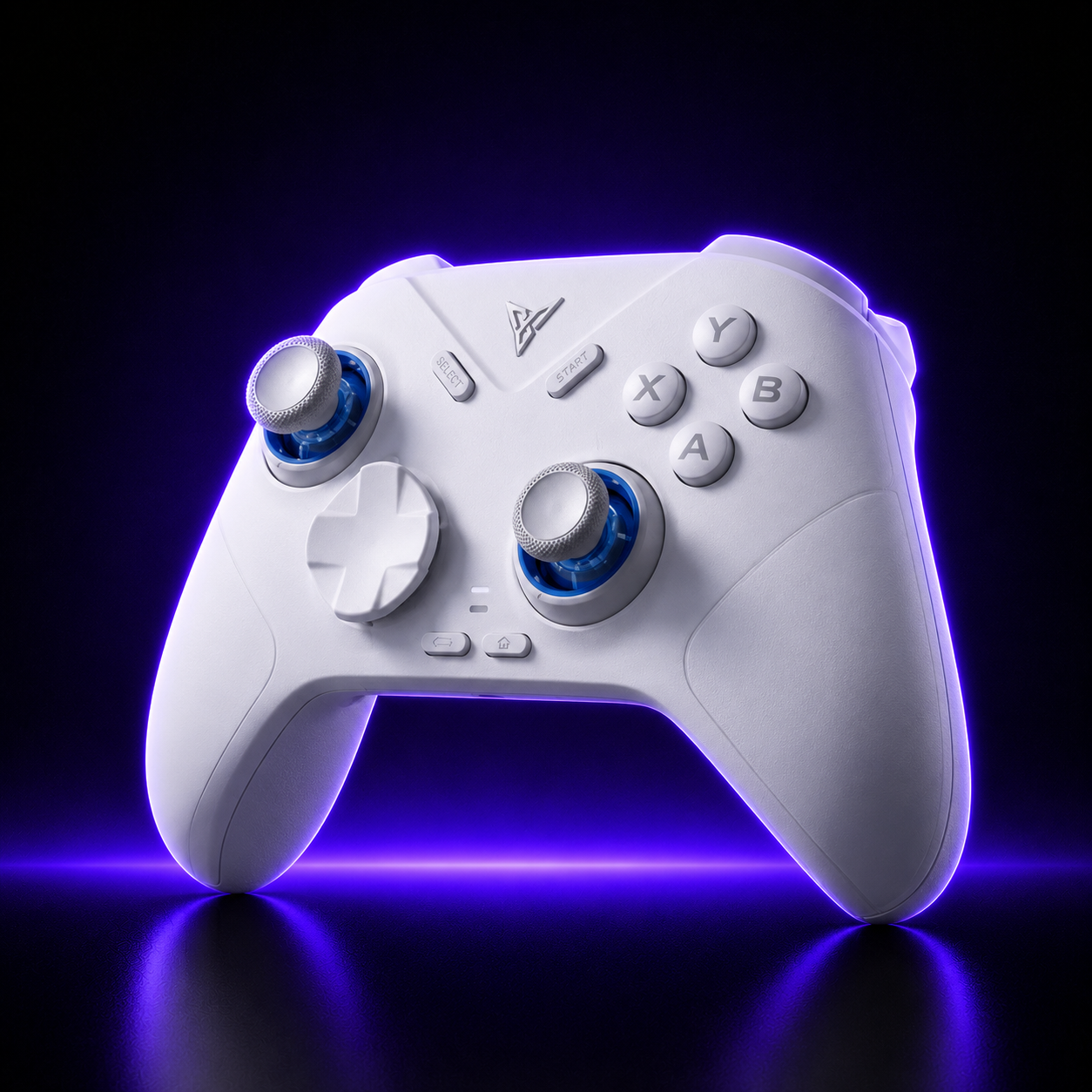 FLYDIGI Direwolf 4 Wireless Controller