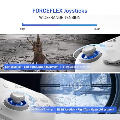 FLYDIGI Direwolf 4 Wireless Controller
